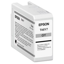 Original Epson T46Y7 Standard Yield Gray Ink Cartridge
