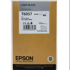 Epson T605 Light Black Ink Cartridge, T605700